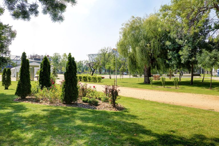 IMG_4730_1_2_3_fused