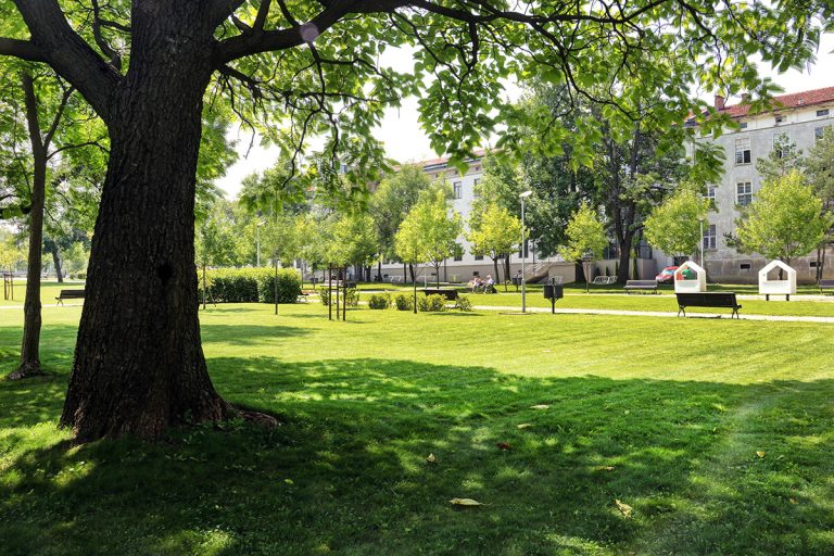 IMG_4798_799_800_fused